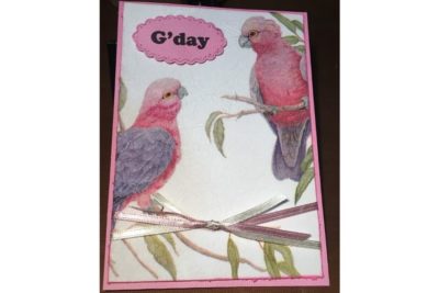 Serviette Cards by Knick Knack Chaos