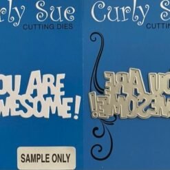 You are Awesome!