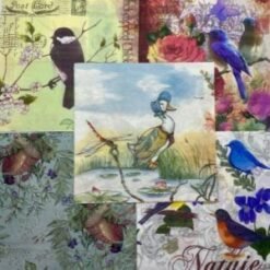 Serviettes - Birds 3