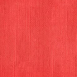 202225 - Wild Rose - Pack of 5