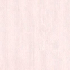 101100 - Ballet Pink - Pack of 5