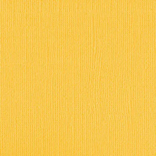 204430 - Sunglow - Pack of 5