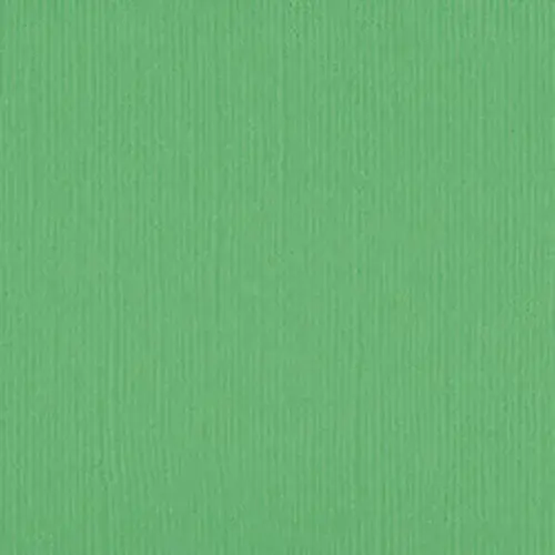 205551 - Napier - Pack of 5