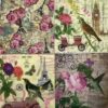 Serviettes - Assorted 6