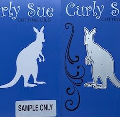 Kangaroo - 2