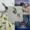 Serviettes - Small size - Animals & Birds
