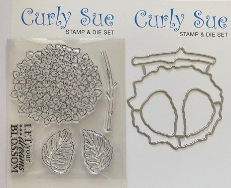 Hydrangea Stamp & Die set