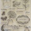 Bloom, Laugh & Grow Stamp & Die set