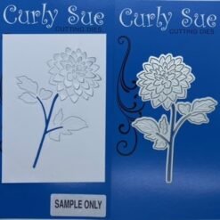Dahlia Reverse