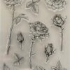 Rosebud stems