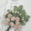 Rose and Rosebud Pack - Very Pale Pink