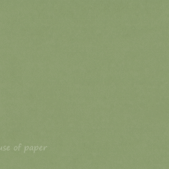 A4 Card - Riviera Olive - 5 pack