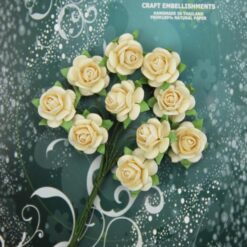 Roses - Ivory