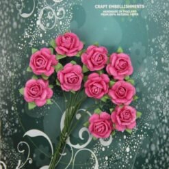 Roses - Hot Pink