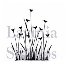 LAV375 - Fairy Buttercups