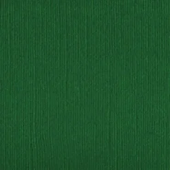 100500 - Garden Green - 250gsm - Pack of 5