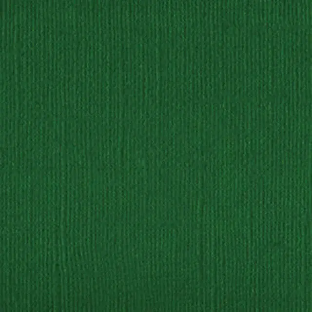 100500 - Garden Green - 250gsm - Pack of 5