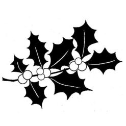 LAV086 - Holly