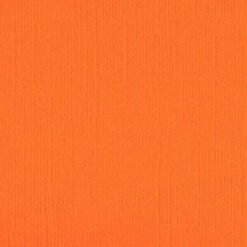 203310 - Pumpkin Mash - Pack of 5