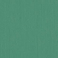 205593 - Sea Green - Pack of 5
