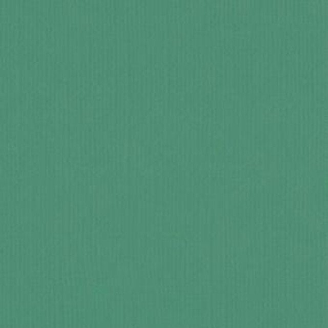 205593 - Sea Green - Pack of 5