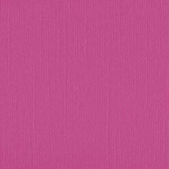 206615 - Fuchsia - Pack of 5