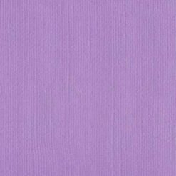 206637 - Bellflower - Pack of 5