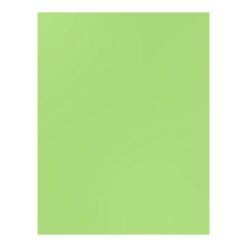 Bazzill Heavyweight Cardstock 8.5"x 11" - Spearmint Stick