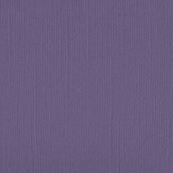 206645 - Violet - Pack of 5
