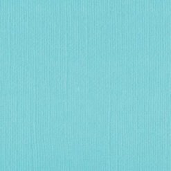207720 - Iceberg - Pack of 5