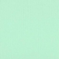 205590 - Ice Cold - Pack of 5