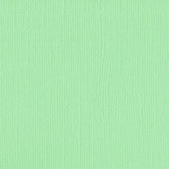 205595 - Tropic - Pack of 5