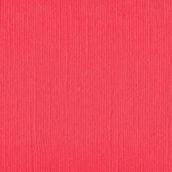 202238 - Raspberry Puree - Pack of 5