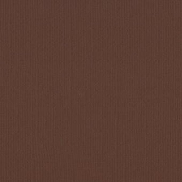 209945 - Latte - Pack of 5