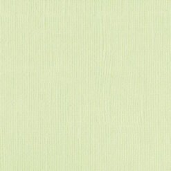 205510 - Spinifex - Pack of 5