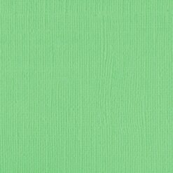 205597 - Spearmint - Pack of 5