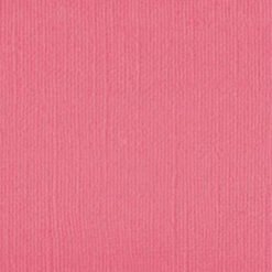 101140 - Pink Salmon - Pack of 5