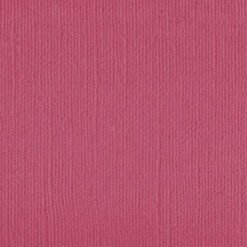 101145 - Coral - Pack of 5