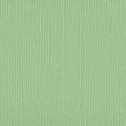 205515 - Spring Bud - Pack of 5