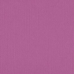 206620 - Sky Magenta - Pack of 5