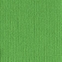 205546 - Veggie Patch - Pack of 5
