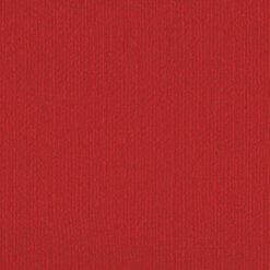 202245 - Waratah - Pack of 5