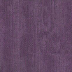 206655 - Purple Reign - Pack of 5
