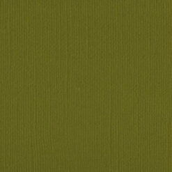 205524 - Weeping Willow - Pack of 5