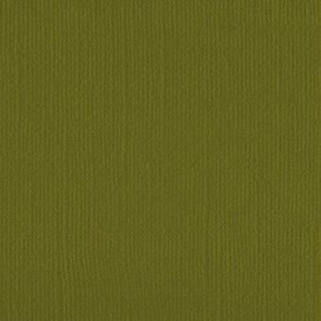 205524 - Weeping Willow - Pack of 5