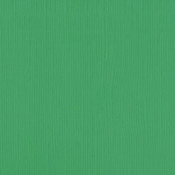 205598 - Peacock - Pack of 5
