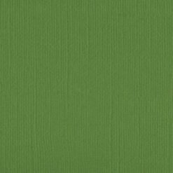 205545 - Mantis - Pack of 5