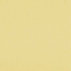204405 - Bitter Lemon - Pack of 5