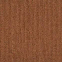 208827 - Spice - Pack of 5