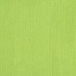 205567 - Apple - Pack of 5
